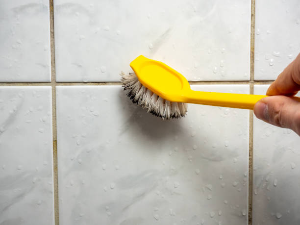 Best Mold Cleaning Services  in South Milwaukee, WI