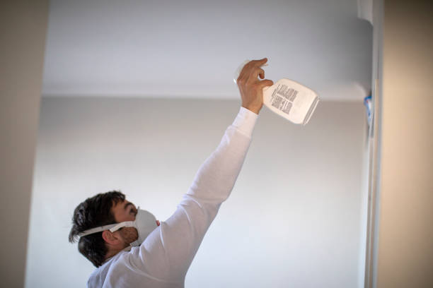 Mold Removal Process in South Milwaukee, WI