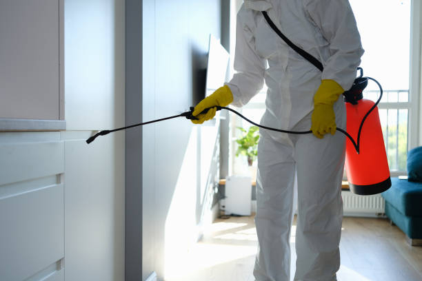 Best Home Mold Removal  in South Milwaukee, WI