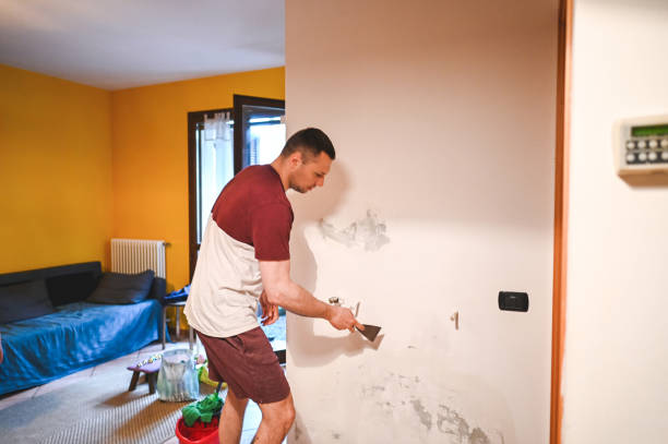Trusted South Milwaukee, WI Mold Removal Experts